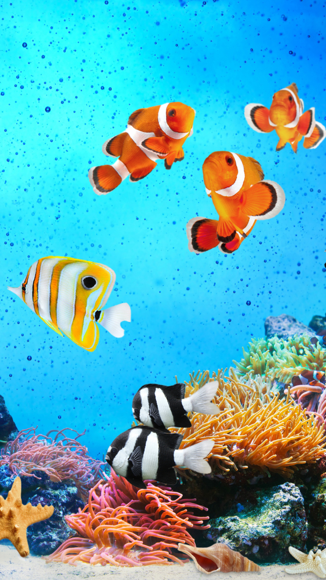 Das Tropical Fishes Wallpaper 1080x1920