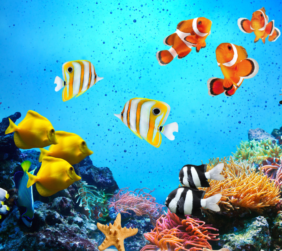 Das Tropical Fishes Wallpaper 1080x960