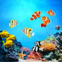 Fondo de pantalla Tropical Fishes 208x208