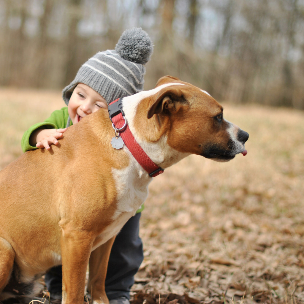 Child With His Dog Friend wallpaper 1024x1024