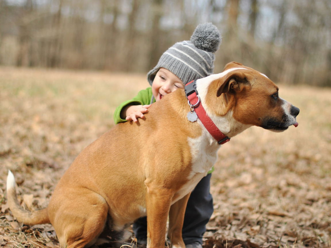 Child With His Dog Friend wallpaper 1152x864