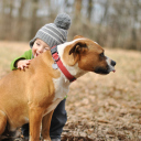 Child With His Dog Friend wallpaper 128x128