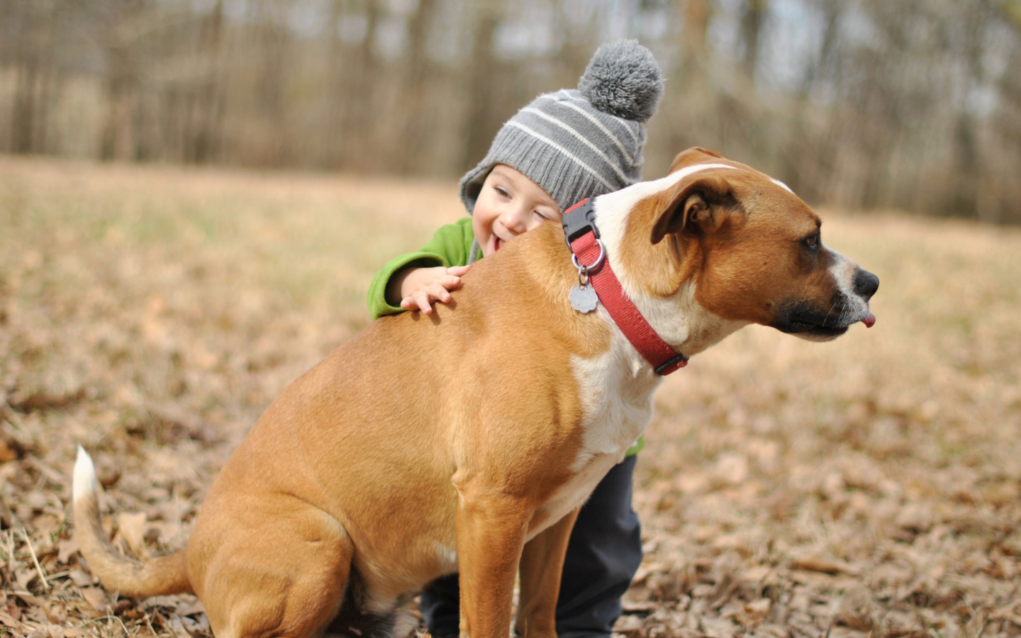 Child With His Dog Friend wallpaper 1440x900