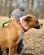 Child With His Dog Friend wallpaper 176x220