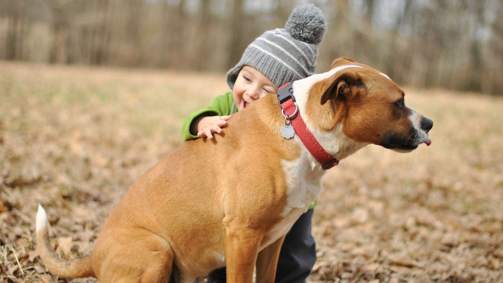 Fondo de pantalla Child With His Dog Friend 1920x1080