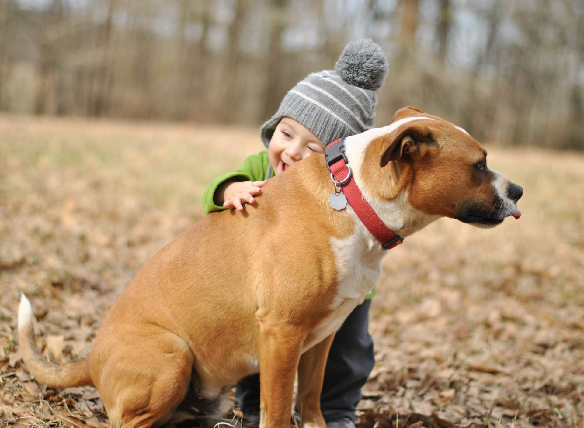 Обои Child With His Dog Friend 1920x1408