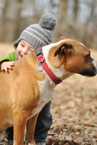 Child With His Dog Friend wallpaper 320x480