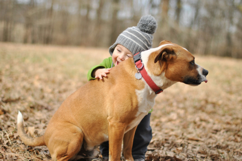 Child With His Dog Friend wallpaper 480x320