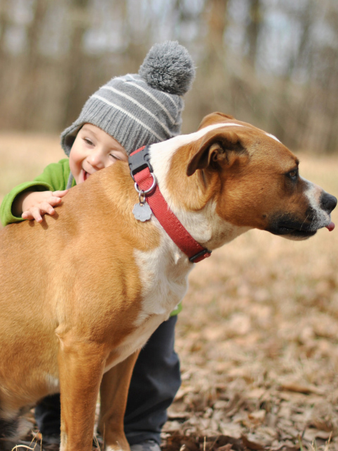 Child With His Dog Friend wallpaper 480x640