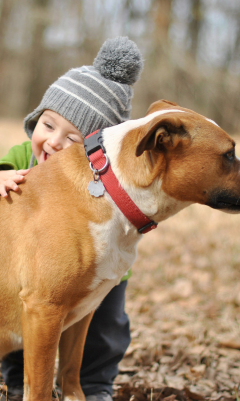 Child With His Dog Friend wallpaper 480x800