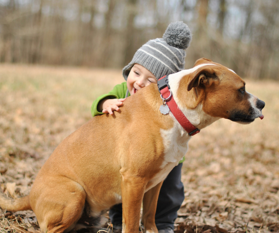Child With His Dog Friend screenshot #1 960x800