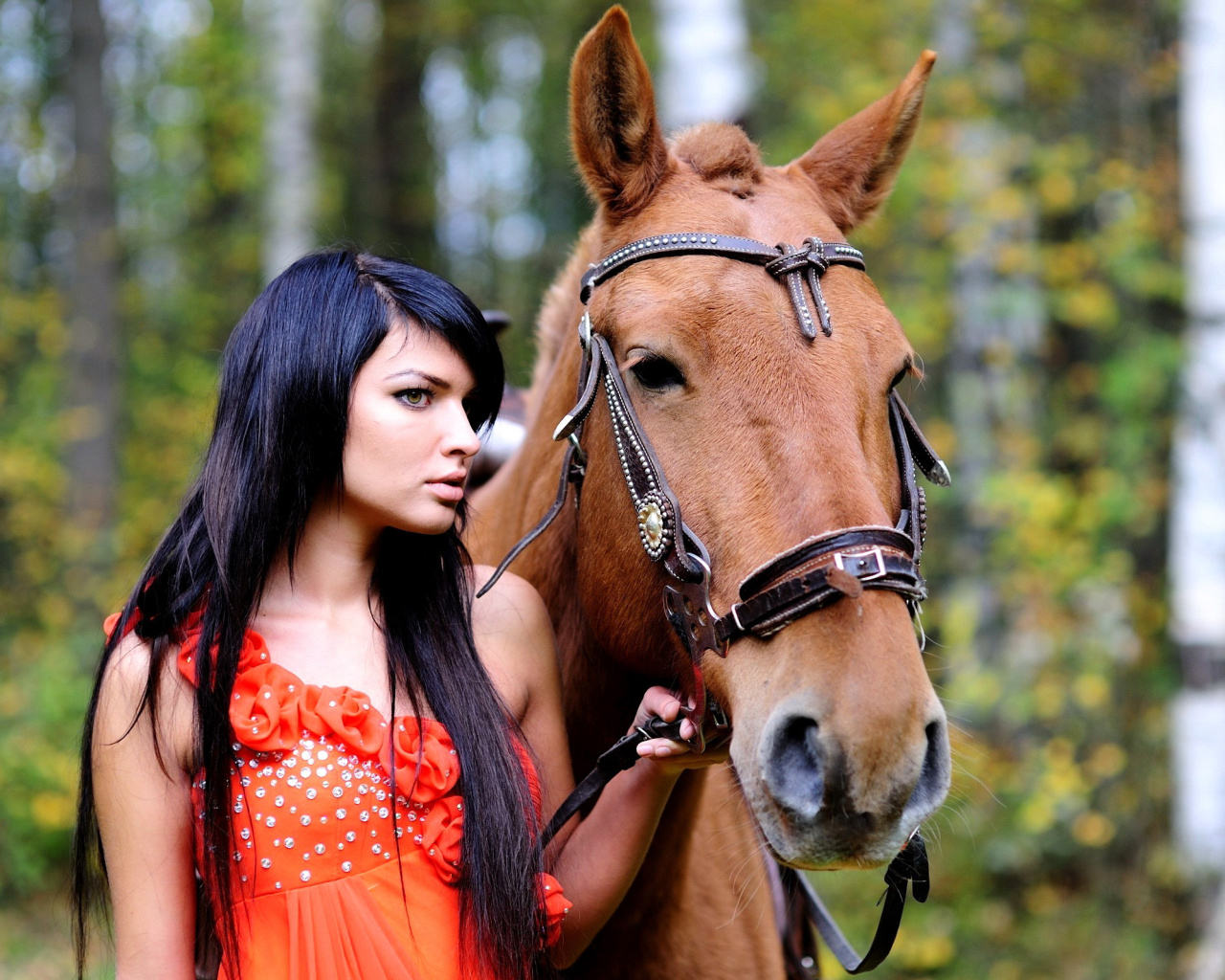 Fondo de pantalla Girl with Horse 1280x1024