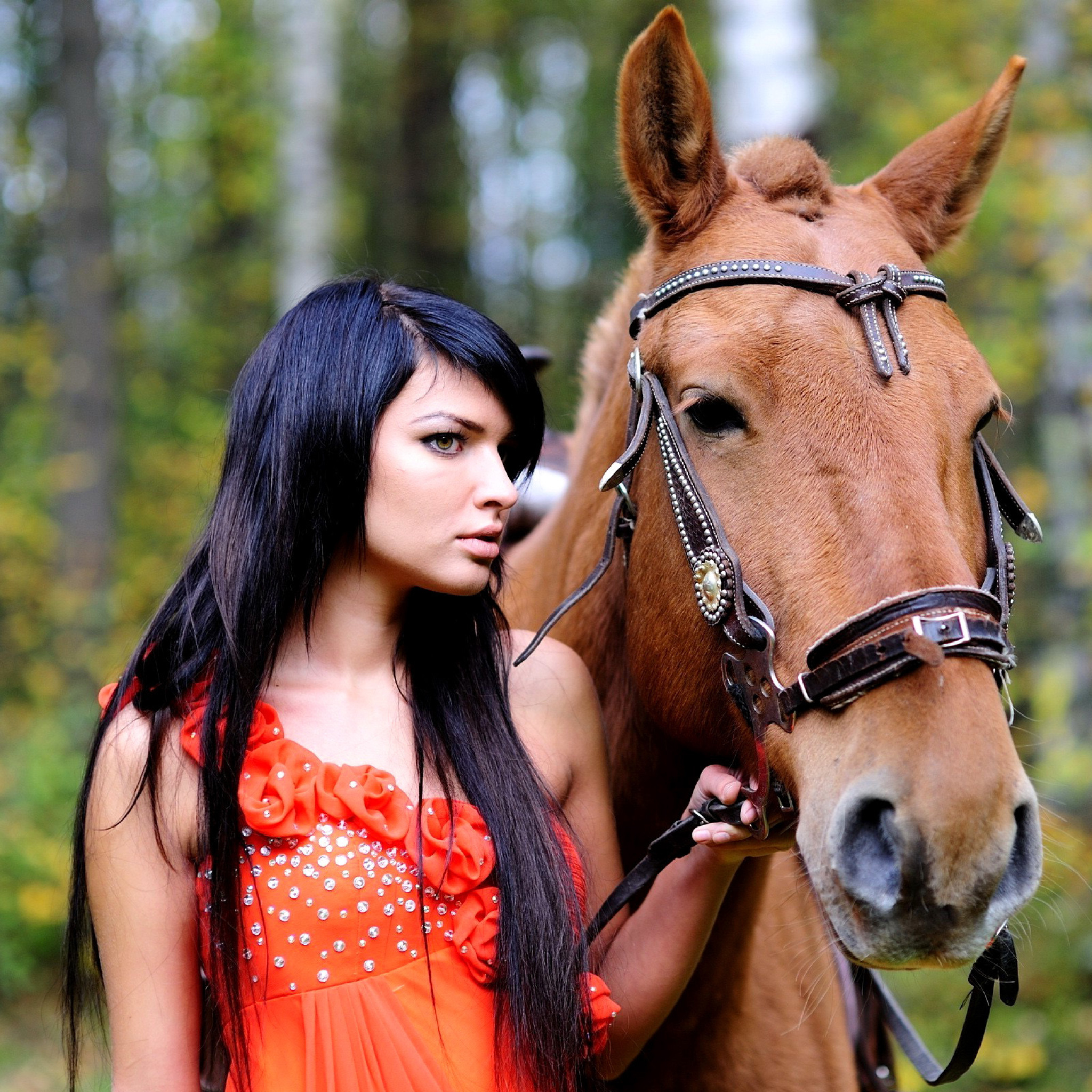 Girl with Horse wallpaper 2048x2048