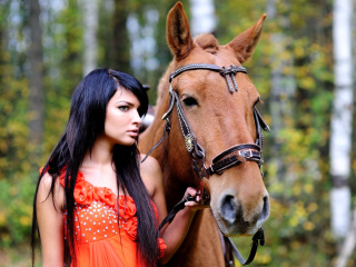 Girl with Horse wallpaper 320x240