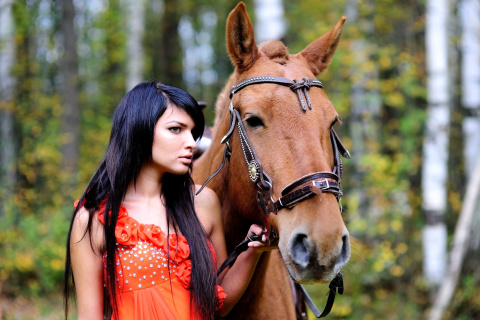Girl with Horse wallpaper 480x320