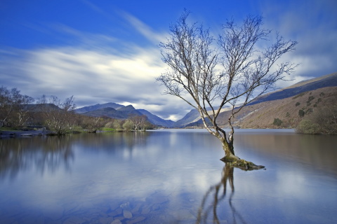 Lake in Indiana wallpaper 480x320