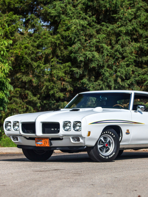 1970 Pontiac GTO screenshot #1 480x640