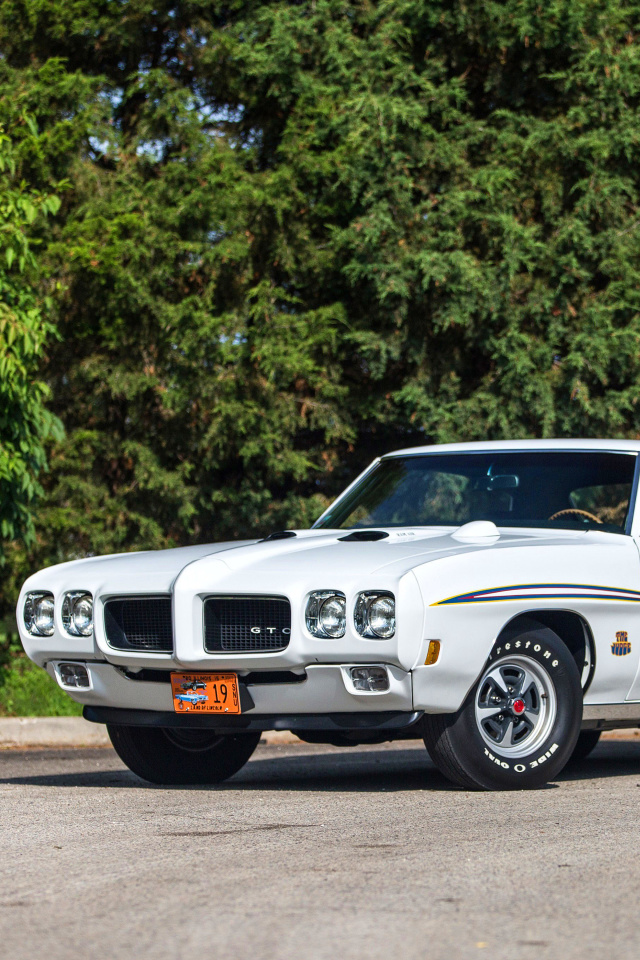 Обои 1970 Pontiac GTO 640x960