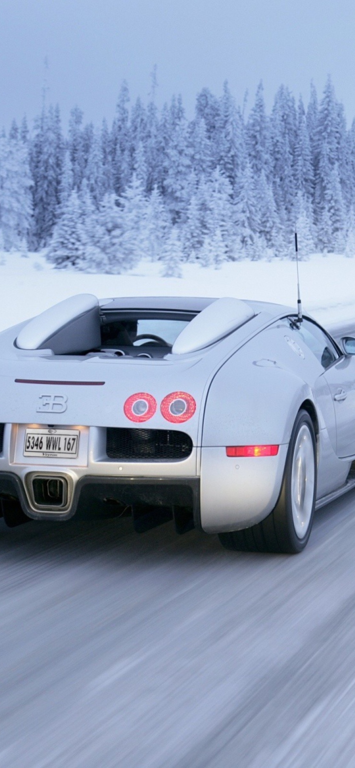 Bugatti Veyron In Winter wallpaper 1170x2532