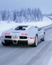 Bugatti Veyron In Winter wallpaper 176x220