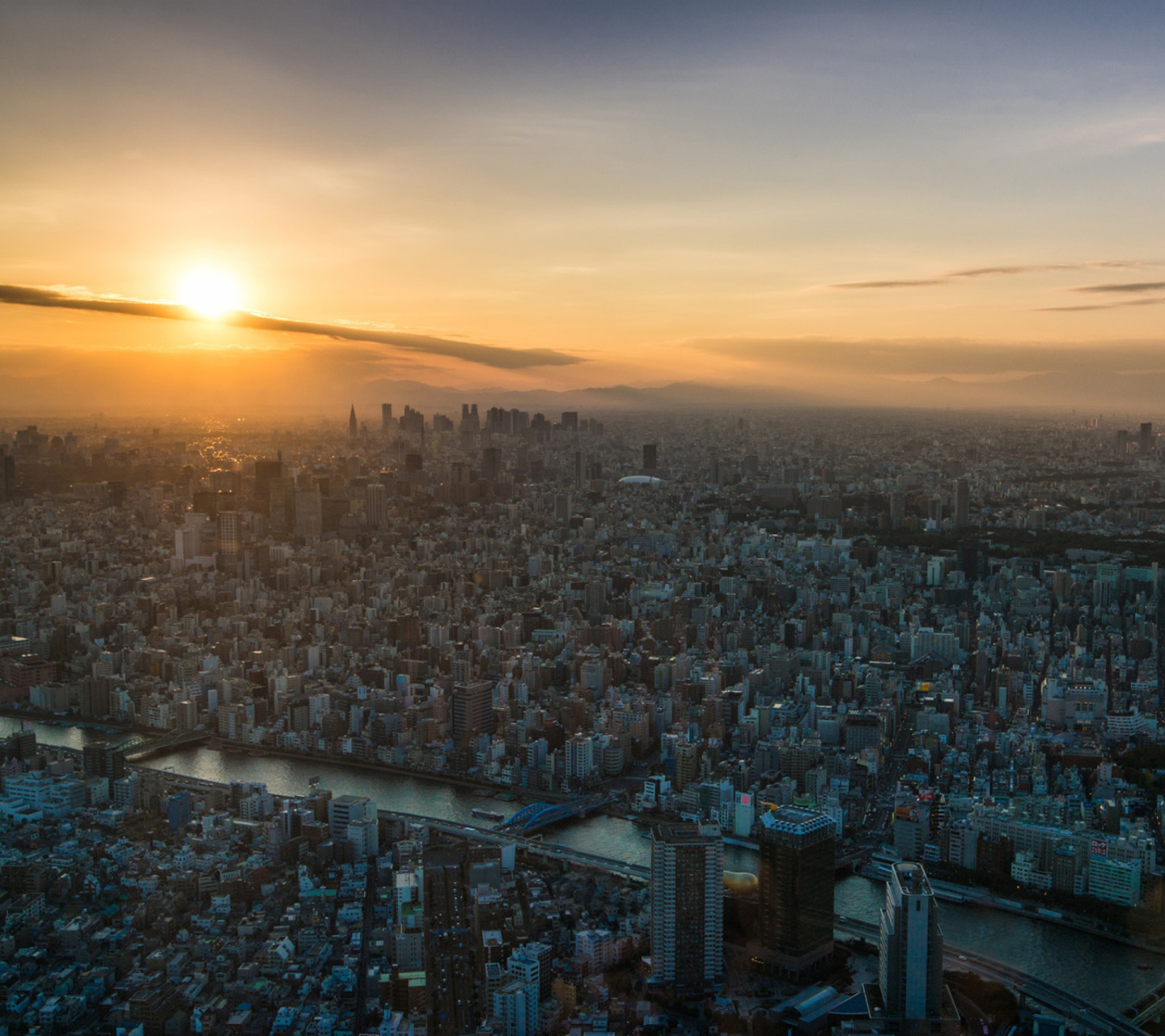 Breaking Dawn in Tokyo wallpaper 1440x1280