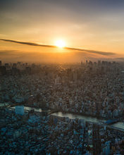 Das Breaking Dawn in Tokyo Wallpaper 176x220