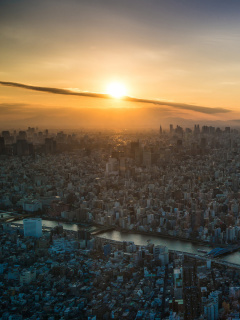 Das Breaking Dawn in Tokyo Wallpaper 240x320