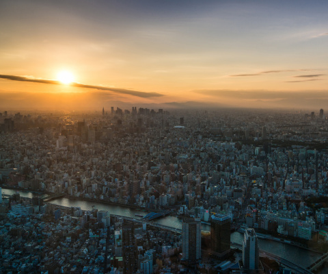 Sfondi Breaking Dawn in Tokyo 480x400