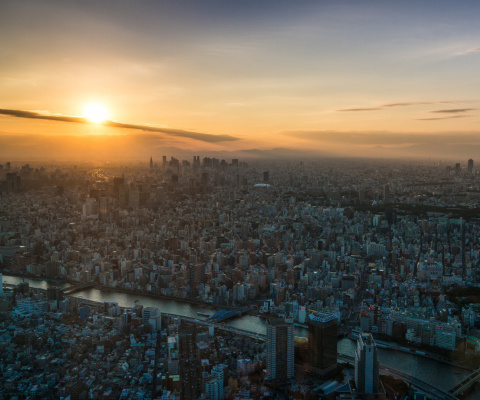 Breaking Dawn in Tokyo wallpaper 480x400