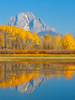 Das Wyoming, Grand Teton National Park Wallpaper 240x320