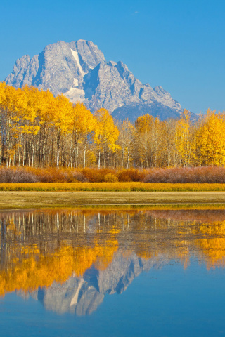 Fondo de pantalla Wyoming, Grand Teton National Park 320x480