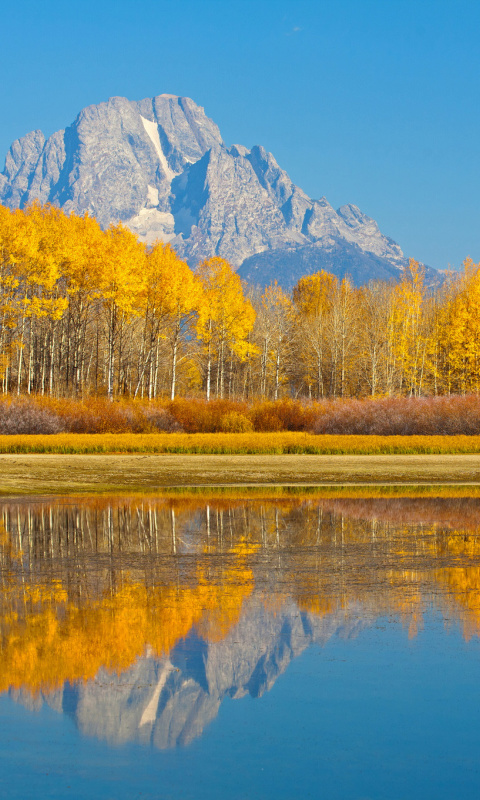 Screenshot №1 pro téma Wyoming, Grand Teton National Park 480x800