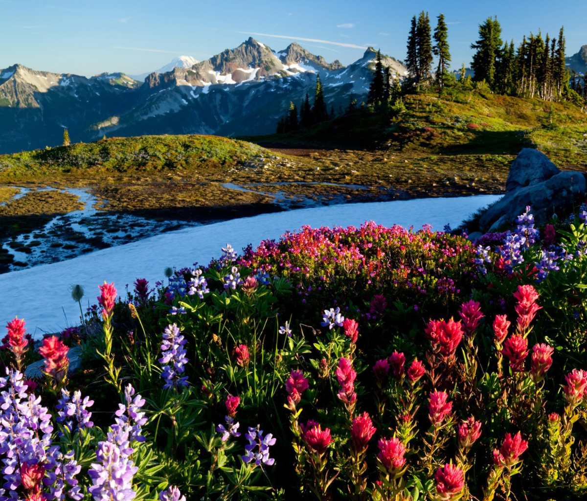 Mountain Flowers screenshot #1 1200x1024