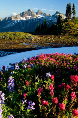 Mountain Flowers screenshot #1 320x480