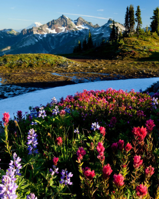 Kostenloses Mountain Flowers Wallpaper für iPhone XR