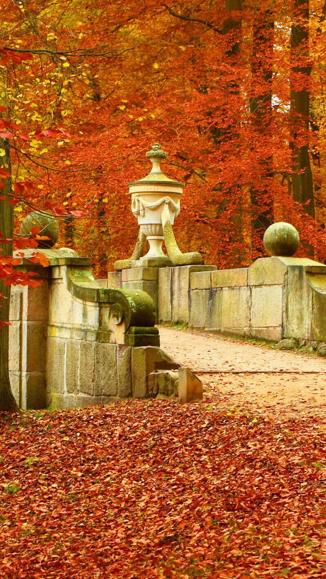 Autumn in Peterhof wallpaper 1080x1920