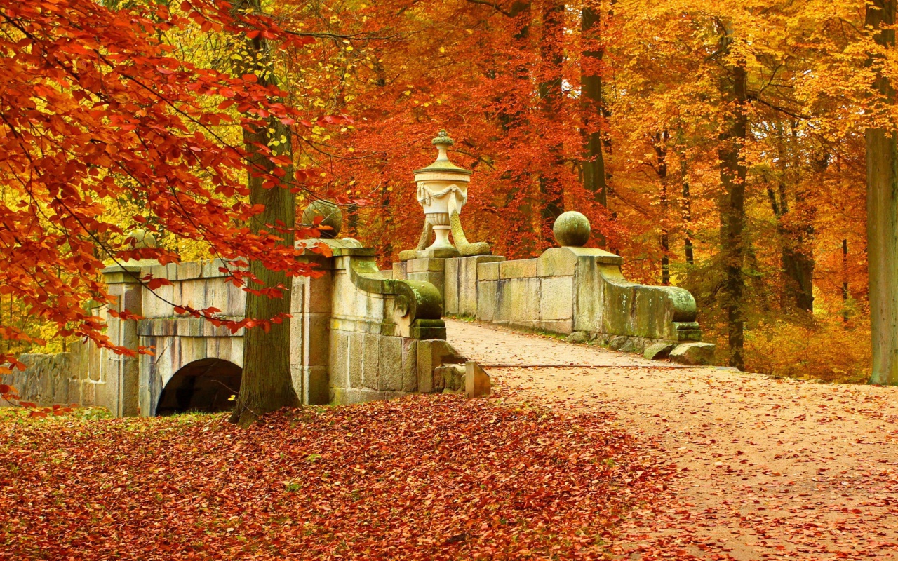 Обои Autumn in Peterhof 1280x800