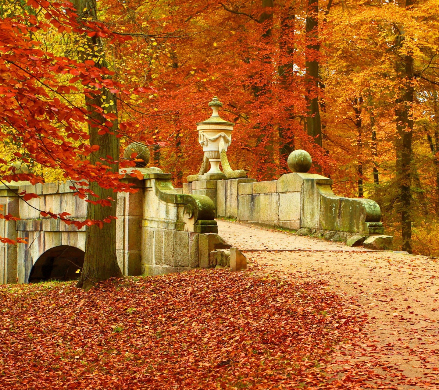Fondo de pantalla Autumn in Peterhof 1440x1280