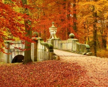 Autumn in Peterhof wallpaper 220x176