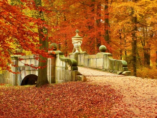Autumn in Peterhof wallpaper 320x240