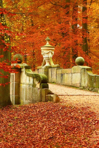 Das Autumn in Peterhof Wallpaper 320x480