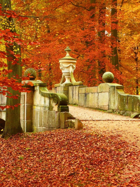 Screenshot №1 pro téma Autumn in Peterhof 480x640