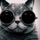 Cat With Glasses wallpaper 128x128