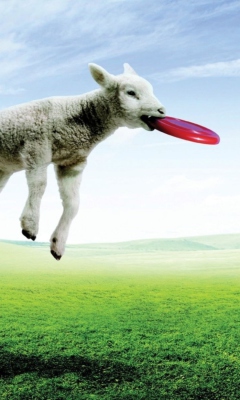 Das Lamb And Frisby Wallpaper 240x400