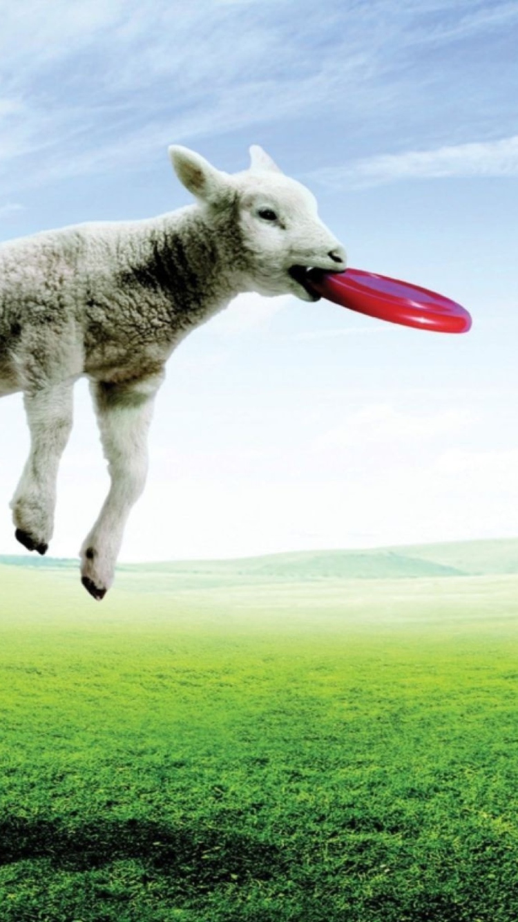 Das Lamb And Frisby Wallpaper 750x1334