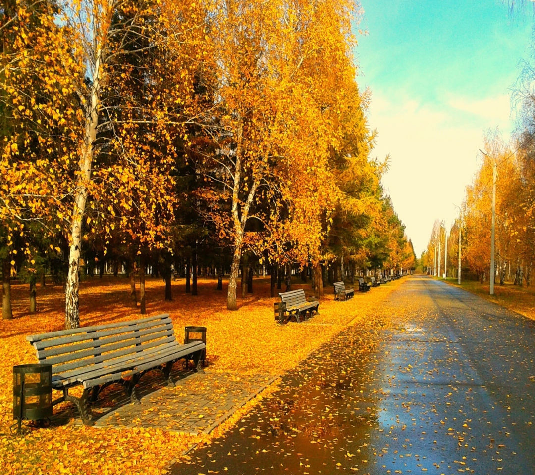 Das Autumn Park Wallpaper 1080x960