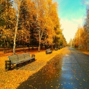 Autumn Park screenshot #1 128x128