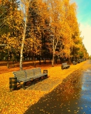 Autumn Park screenshot #1 128x160