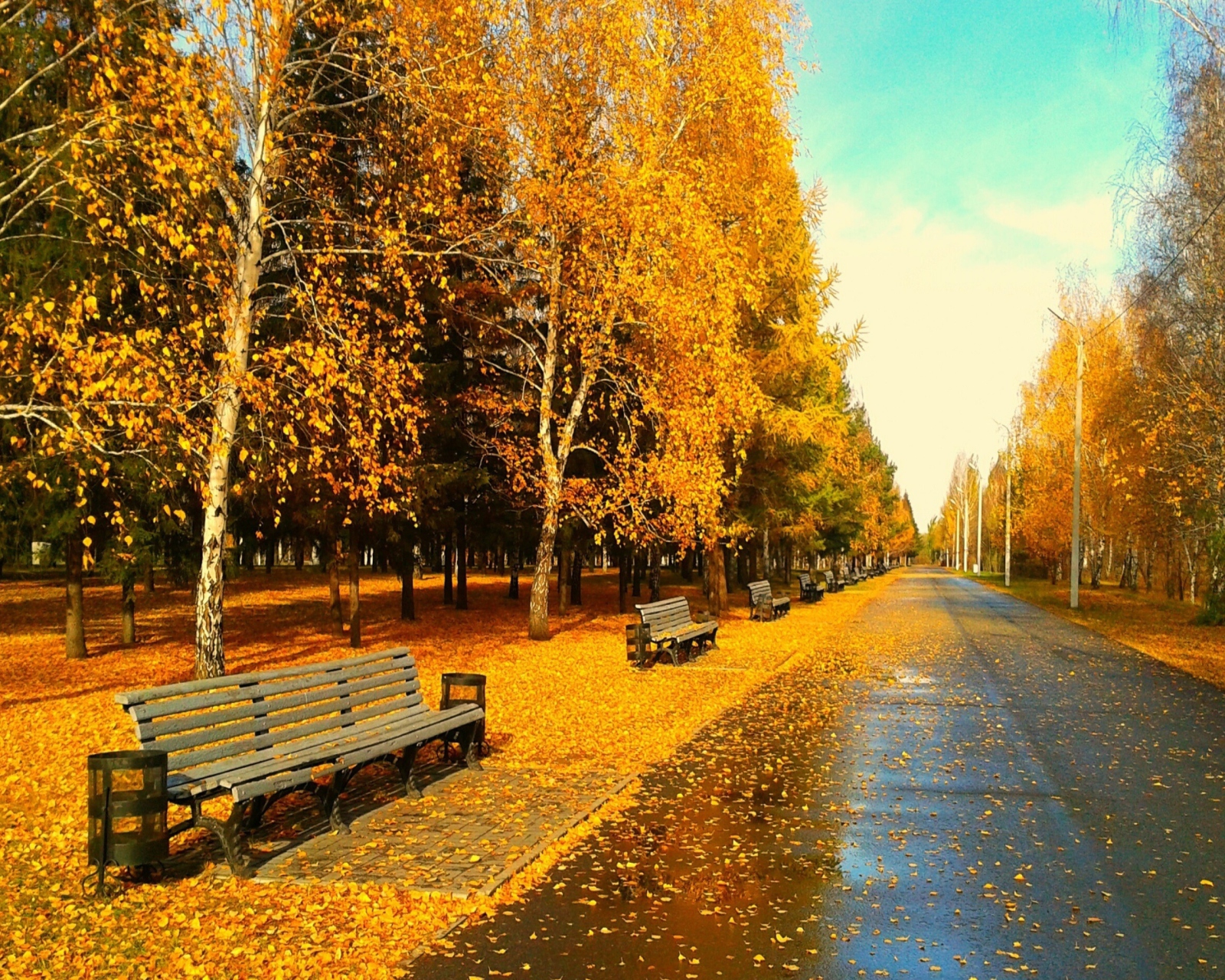 Sfondi Autumn Park 1600x1280