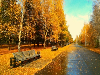 Das Autumn Park Wallpaper 320x240